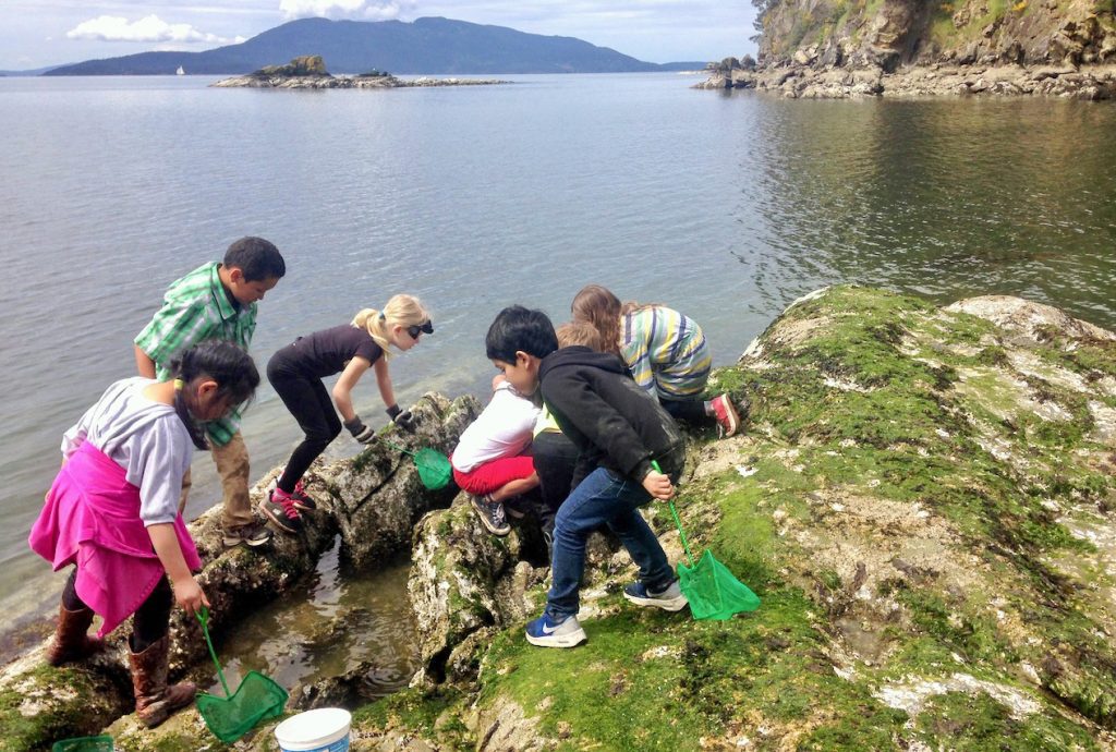 kids beachcombing